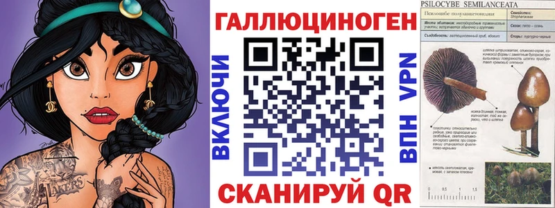 что такое   Кондопога  Галлюциногенные грибы Psilocybine cubensis 
