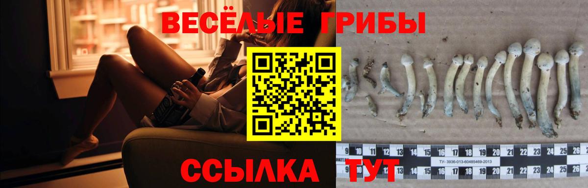 Кондопога  Псилоцибиновые грибы мухоморы  Вход с VPN  Галлюциногенные грибы GOLDEN TEACHER 
